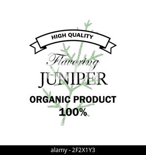 Juniper flavoring logo with hand drawn element isolated on white background. Vector illustration in vintage style Stock Vector