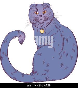 Scottish fold cat sitting back Stock Vector