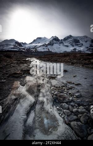 A creek runs along a barren landscape next to the Columbia Icefields in Jasper National Park along the Icefields Parkway of Alberta, Canada. Stock Photo