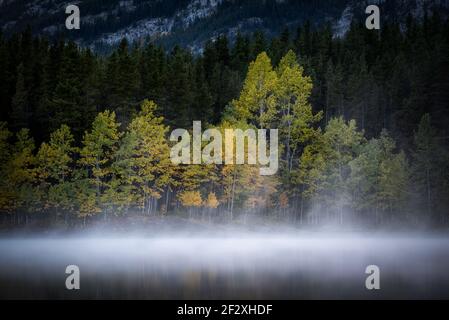 Autumn morning colors and mist at Wedge Pond in Kananaskis Country of Alberta, Canadian. Stock Photo