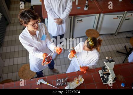Two female laborant workers preparing samples for analysis Stock Photo