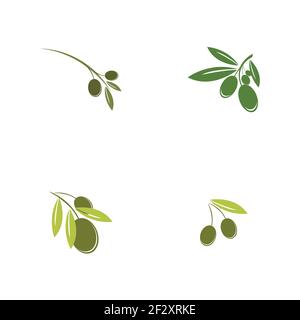 set of Olive logo template vector icon illustration design Stock Vector