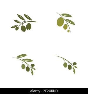 set of Olive logo template vector icon illustration design Stock Vector