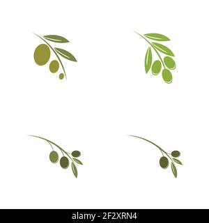 set of Olive logo template vector icon illustration design Stock Vector