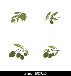 set of Olive logo template vector icon illustration design Stock Vector