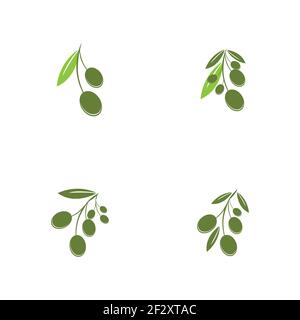 set of Olive logo template vector icon illustration design Stock Vector
