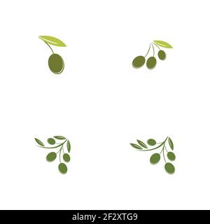 set of Olive logo template vector icon illustration design Stock Vector