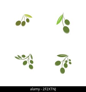set of Olive logo template vector icon illustration design Stock Vector