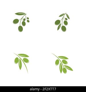 set of Olive logo template vector icon illustration design Stock Vector