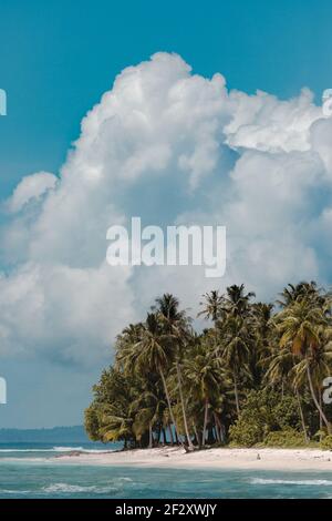 Picturesque view of idyllic island with tropical green trees on sandy beach surrounded by blue sea against clear sky in Indonesia Stock Photo