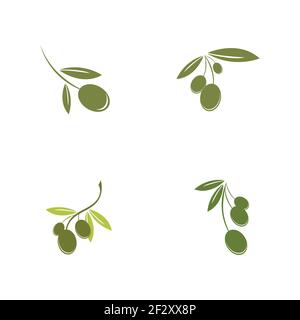 set of Olive logo template vector icon illustration design Stock Vector