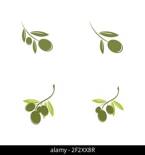 set of Olive logo template vector icon illustration design Stock Vector