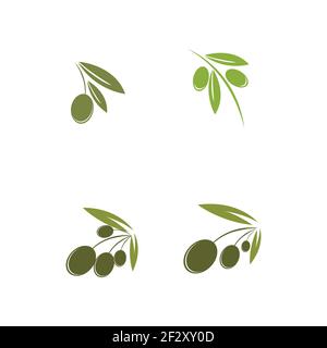 set of Olive logo template vector icon illustration design Stock Vector
