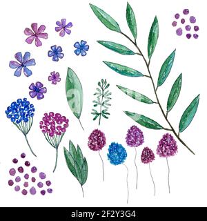 floral collage of branches with leaves, small clover flowers and color spots Stock Photo