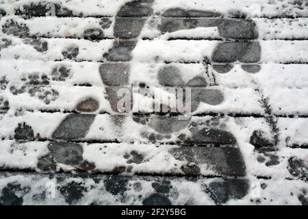 Human and dog footprints in snow on wooden porch slats Stock Photo