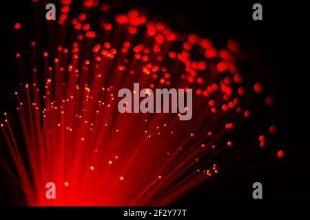 arc shaped red fiber optic lights with focused points and others out of focus on black background Stock Photo