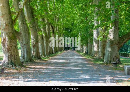 Alley at an island on river Neckar in Tübingen, Germany Stock Photo