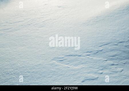 Surface texture of fresh snow sparkling in the sun in blue tone Stock Photo