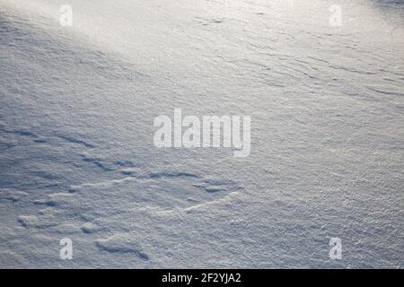 Natural background snow texture. Fresh snow sparkling in the sun Stock Photo