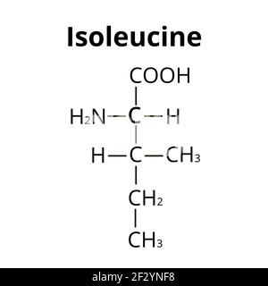 Isoleucine amino acid. Chemical molecular formula isoleucine amino acid. Vector illustration on isolated background Stock Vector