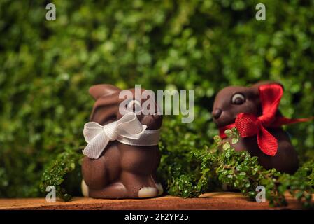 Chocolate Easter eggs with bunny and egg candies on a wooden table in the yard with green spring plants in the background Stock Photo
