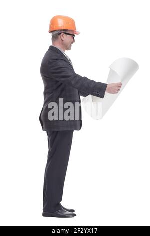 qualified architect reading the new drawing. isolated on a white Stock Photo