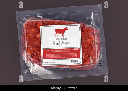 Lab grown cultured meat concept for artificial in vitro cell culture meat production with frozen packed raw meat with made up label on dark background Stock Photo