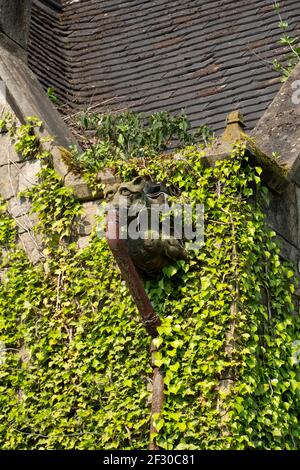 Old gothic style gargoyle water spout Stock Photo