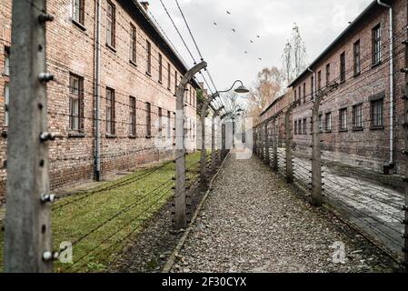 Auschwitz Concentration and Extermination Camp museum Poland Red brick barracks birds electric barb wire fence to detain jewish prisoners no mans land Stock Photo