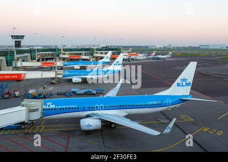 Amsterdam, Netherlands - November 22, 2017: KLM Royal Dutch Airlines Boeing 737-800 airplanes at Amsterdam Schiphol Airport (AMS) in the Netherlands. Stock Photo