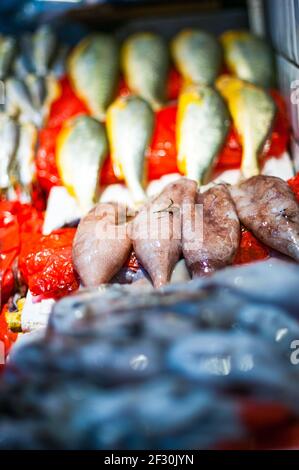 Squid and fish for sale in the wet market on Taikang Road, Huangpu District, Shanghai, China, Asia. Stock Photo
