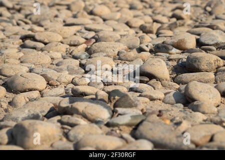 River gravel in the sun during the day. Stock Photo