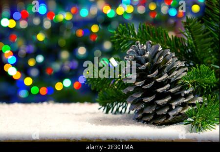 Fir cone and Christmas tree branch isolated on lights background. Stock Photo