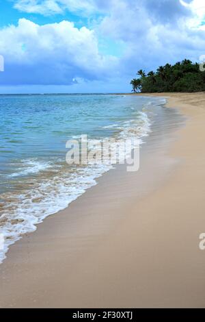 Caribbean sea and green palm trees on white tropical beach.