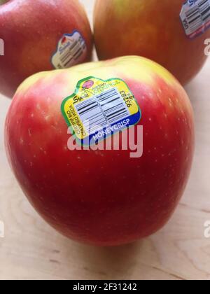 Stemit FarmsHoney Crisp Apple, USA Stock Photo