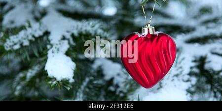 Red heart on snow covered pine branch .Valentines day background. Stock Photo