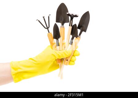 Set of garden hand tools in a male hand wearing a yellow glove isolated on white background. Stock Photo