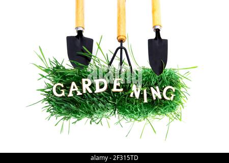 Creative gardening concept composition made of a bunch of fresh green grass, a set of garden hand tools and wooden letters isolated on white backgroun Stock Photo