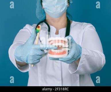 Female medic in a white coat, a mask holds a plastic model of a human jaw and a wooden toothbrush Stock Photo