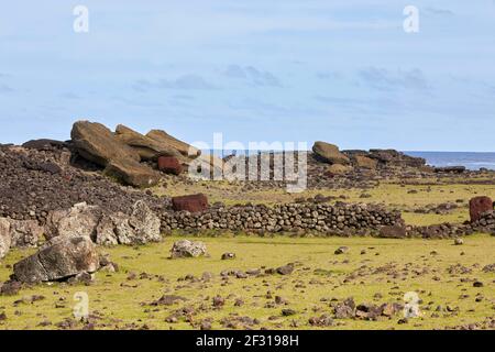 Laying Moais at Ahu Ura Uranga Te Mahina Ura-Uranga Moai fallen, Easter Island, Rapa Nui, Isla de Pascua Stock Photo