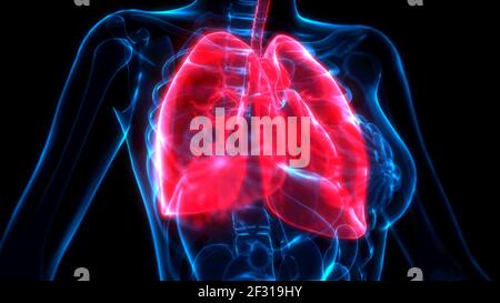 lungs disease on x-ray scan, medical 3d illustration Stock Photo