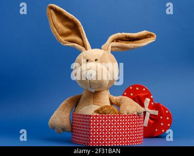 Cute plush rabbit holding a gift box tied with a red silk ribbon, blue background Stock Photo