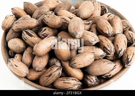 In-shell pecan nuts on bowl set on plain white background. Stock Photo