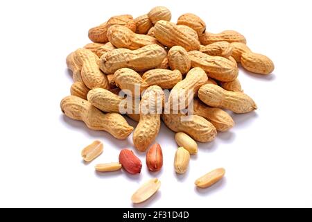 Roasted peanuts in shell isolated on light background. Stock Photo