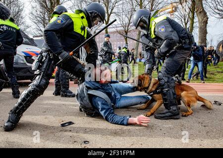 THE HAGUE, NETHERLANDS - MARCH 14: Police are seen charging protesters during a protest on the Malieveld against the coronavirus policies and the government on March 14, 2021 in The Hague, Netherlands ahead of the March 17 general elections. (Photo by Niels Wenstedt/BSR Agency/Alamy Live News) Stock Photo