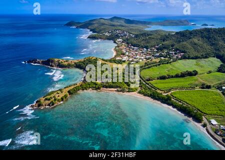 France, West Indies, Martinique, Nature Reserve of the Caravelle, peninsula of the Caravelle Stock Photo