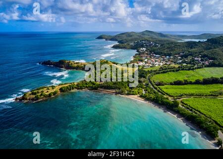 France, West Indies, Martinique, Nature Reserve of the Caravelle, peninsula of the Caravelle Stock Photo