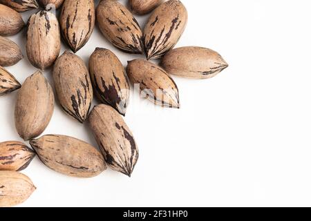 Pecan nuts in shell set on plain white background. Stock Photo