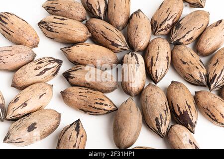 Pecan nuts in shell set on plain white background. Stock Photo