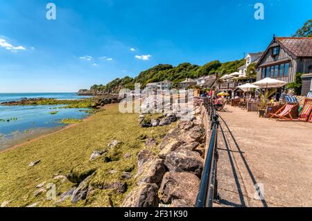 Steephill Cove on the Isle of Wight. Stock Photo